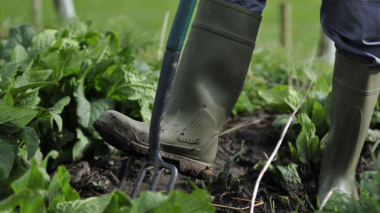 Best Wellington Boot socks