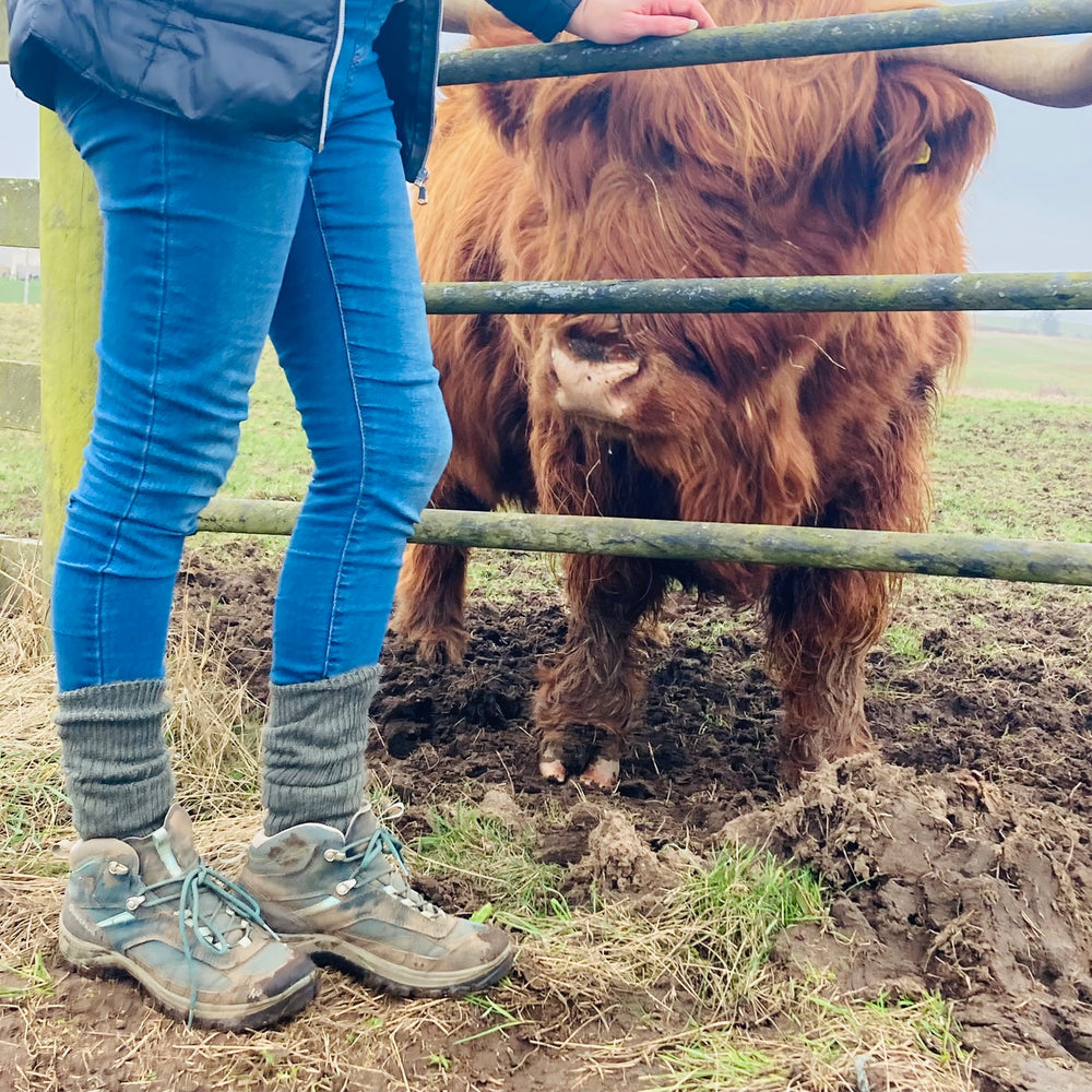 
                      
                        Green Yorkshire-style Capricorn Mohair Socks paired with walking boots on a muddy farm track beside a Highland cow – rugged, warm and farm-ready
                      
                    